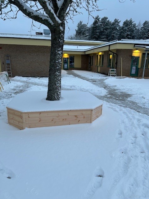 En träbänk byggd runt en trädstam. I bakgrunden syns en byggnad.