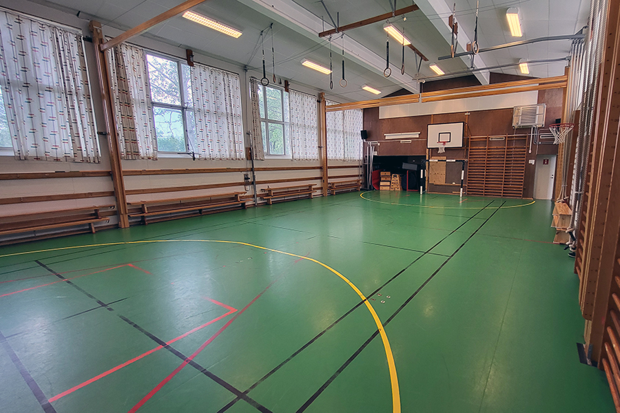 En idrottssal med grön golvbeläggning med markeringar för flera olika sporter. På sidorna finns bänkar och ribbstolar längs väggarna. I taket hänger ringar och andra sorters redskap. Det finns även flera basketkorgar.