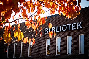 Färgglada löv i solsken med byggnad med textskylt.
